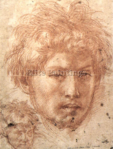 ANDREA DEL SARTO HEAD OF A YOUNG MAN ARTIST PAINTING REPRODUCTION HANDMADE OIL