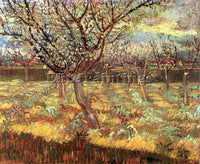 VAN GOGH APRICOT TREES IN BLOSSOM2 ARTIST PAINTING REPRODUCTION HANDMADE OIL ART