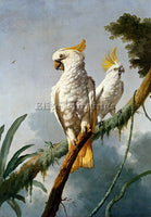 FRENCH BARRABAND JACQUES A PAIR OF SULPHUR CRESTED COCATOOS ARTIST PAINTING OIL