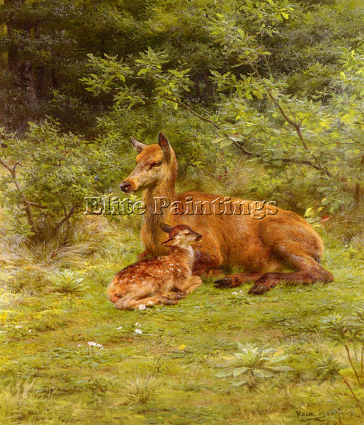 ROSA BONHEUR DOE AND FAWN IN A THICKET ARTIST PAINTING REPRODUCTION HANDMADE OIL