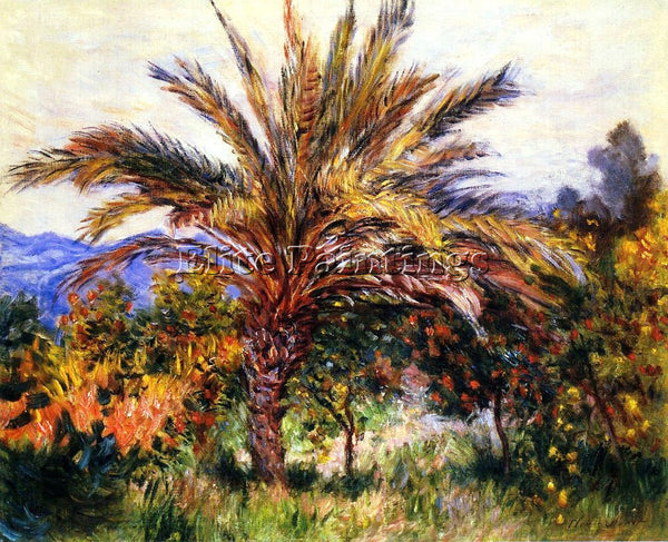 CLAUDE MONET A PALM TREE AT BORDIGHERA ARTIST PAINTING REPRODUCTION HANDMADE OIL