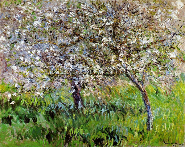 CLAUDE MONET APPLE TREES IN BLOOM AT GIVERNY ARTIST PAINTING HANDMADE OIL CANVAS