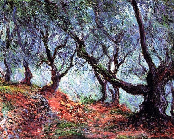 CLAUDE MONET GROVE OF OLIVE TREES IN BORDIGHERA ARTIST PAINTING REPRODUCTION OIL