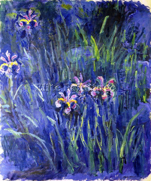 CLAUDE MONET IRISES 2 ARTIST PAINTING REPRODUCTION HANDMADE OIL CANVAS REPRO ART