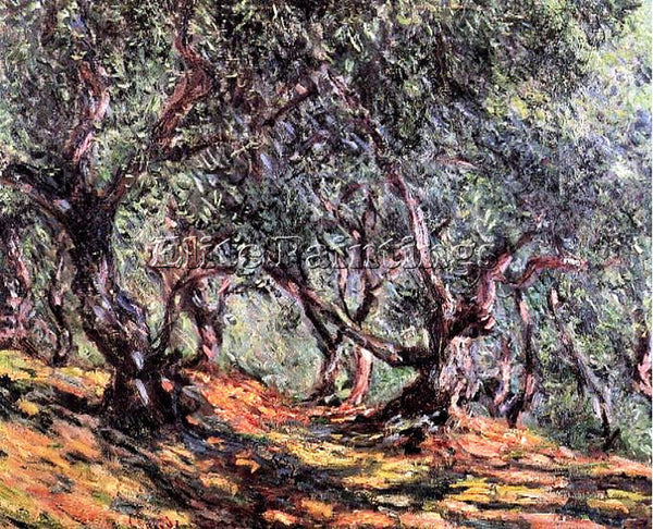 CLAUDE MONET OLIVE TREES IN BORDIGHERA ARTIST PAINTING REPRODUCTION HANDMADE OIL