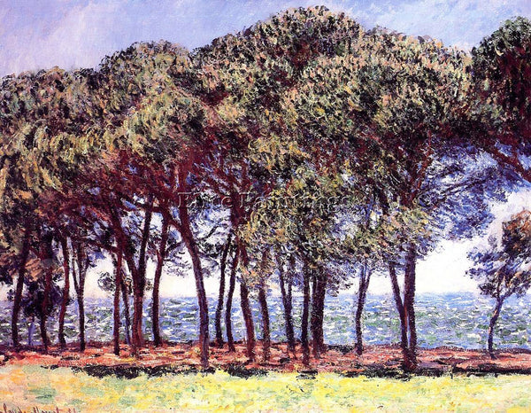 CLAUDE MONET PINE TREES CAP D ANTIBES ARTIST PAINTING REPRODUCTION HANDMADE OIL