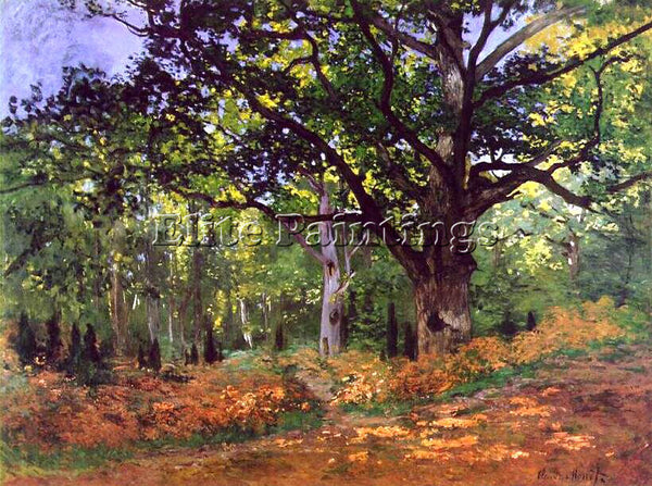 CLAUDE MONET THE BODMER OAK FONTAINEBLEAU FOREST 1865 ARTIST PAINTING HANDMADE