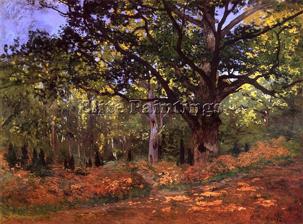 CLAUDE MONET THE BODMER OAK FONTAINEBLEAU ARTIST PAINTING REPRODUCTION HANDMADE