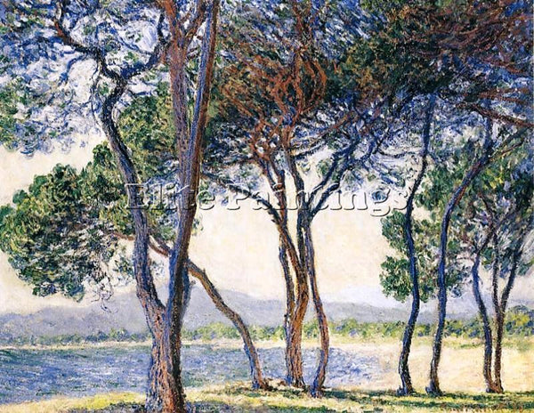 CLAUDE MONET TREES BY THE SEASHORE AT ANTIBES ARTIST PAINTING REPRODUCTION OIL