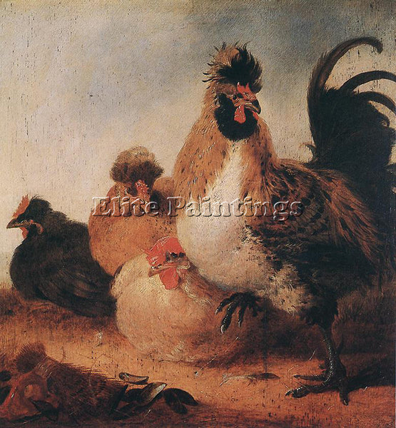 AELBERT CUYP ROOSTER AND HENS ARTIST PAINTING REPRODUCTION HANDMADE CANVAS REPRO
