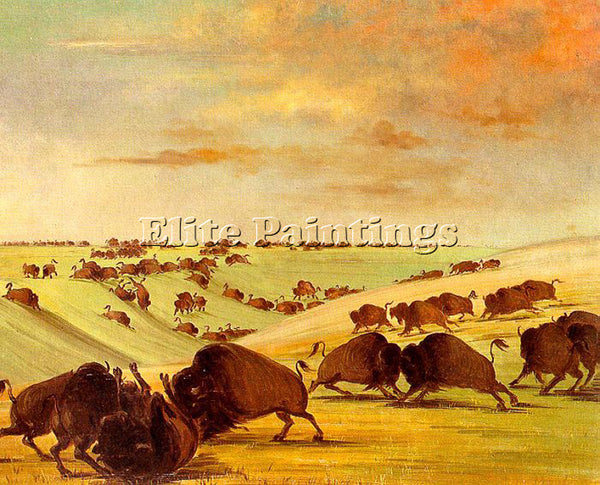 AMERICAN CATLIN GEORGE AMERICAN 1796 1872 1 ARTIST PAINTING HANDMADE OIL CANVAS - Oil Paintings Gallery Repro