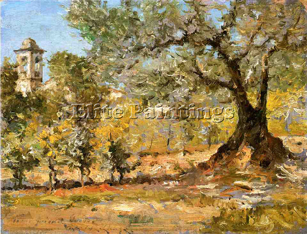 WILLIAM MERRITT CHASE OLIVE TREES FLORENCE ARTIST PAINTING REPRODUCTION HANDMADE