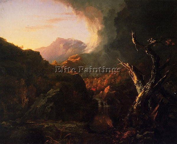 THOMAS COLE LANDSCAPE WITH DEAD TREE ARTIST PAINTING REPRODUCTION HANDMADE OIL