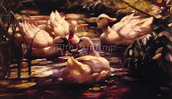 ALEXANDER KOESTER DUCKS IN A FOREST POND ARTIST PAINTING REPRODUCTION HANDMADE