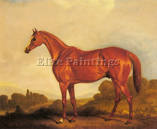 JOHN FERNELEY A PORTRAIT OF THE RACEHORSE HARKAWAY ARTIST PAINTING REPRODUCTION