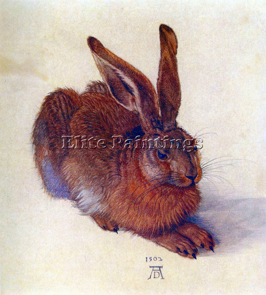 DURER FIELD HARE ARTIST PAINTING REPRODUCTION HANDMADE OIL CANVAS REPRO WALL ART