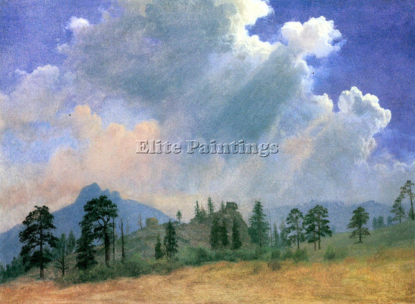 BIERSTADT FIR TREES AND STORM CLOUDS ARTIST PAINTING REPRODUCTION HANDMADE OIL