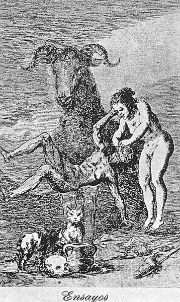 FRANCISCO DE GOYA CAP60 ARTIST PAINTING REPRODUCTION HANDMADE CANVAS REPRO WALL