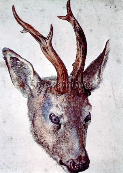 DURER HEAD OF A DEER ARTIST PAINTING REPRODUCTION HANDMADE OIL CANVAS REPRO WALL