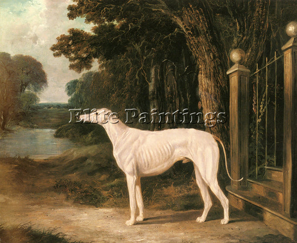 JOHN FREDERICK HERRING  VANDEAU A WHITE GREYHOUND ARTIST PAINTING REPRODUCTION