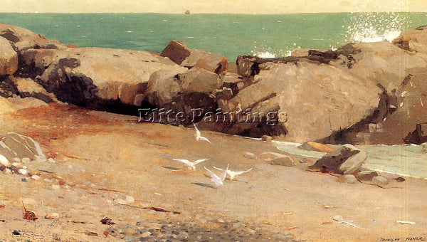 WINSLOW HOMER ROCKY COAST AND GULLS ARTIST PAINTING REPRODUCTION HANDMADE OIL