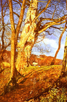 BRITISH INCHBOLD JOHN WILLIAM A STUDY IN MARCH ARTIST PAINTING REPRODUCTION OIL