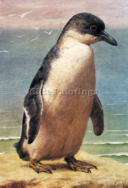 HENRY STACY MARKS STUDY OF A PENGUIN ARTIST PAINTING REPRODUCTION HANDMADE OIL