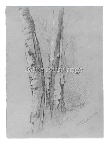 JERVIS MCENTEE STUDY OF BIRCH TRUNKS ARTIST PAINTING REPRODUCTION HANDMADE OIL