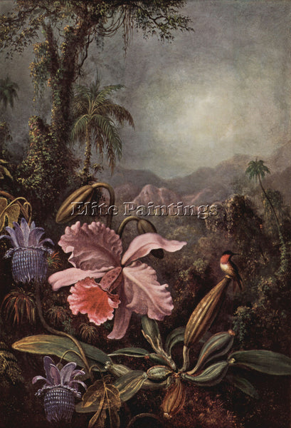 HUDSON RIVER ORCHIDS PASSION FLOWERS AND HUMMINGBIRDS BY MARTIN JOHNSON HEADE