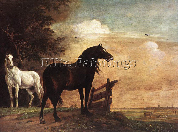 PAULUS POTTER HORSES IN A FIELD ARTIST PAINTING REPRODUCTION HANDMADE OIL CANVAS