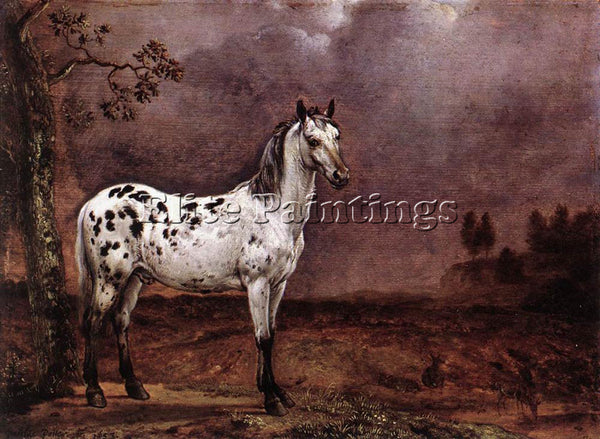 PAULUS POTTER THE SPOTTED HORSE ARTIST PAINTING REPRODUCTION HANDMADE OIL CANVAS