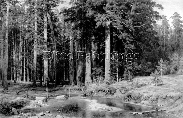 IVAN SHISHKIN MAST TREE GROVE ARTIST PAINTING REPRODUCTION HANDMADE CANVAS REPRO