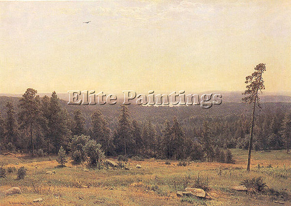 IVAN SHISHKIN THE FOREST HORIZONS 1884 ARTIST PAINTING REPRODUCTION HANDMADE OIL