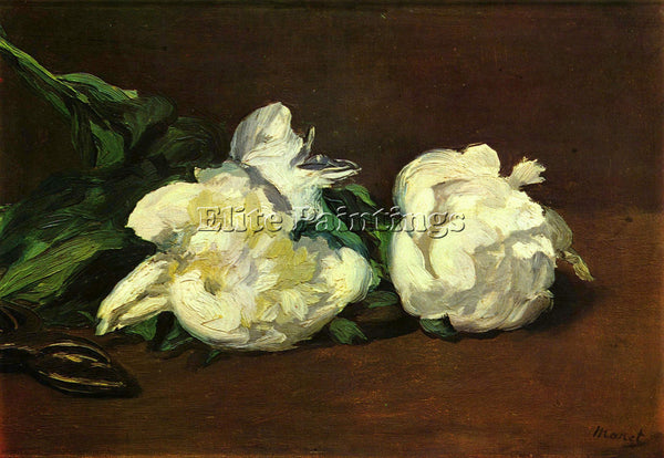 MANET STILL LIFE WHITE PEONY ARTIST PAINTING REPRODUCTION HANDMADE CANVAS REPRO