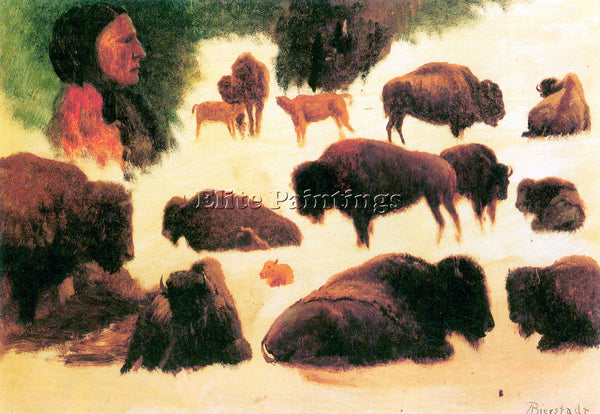 BIERSTADT STUDY OF BUFFALOES ARTIST PAINTING REPRODUCTION HANDMADE CANVAS REPRO