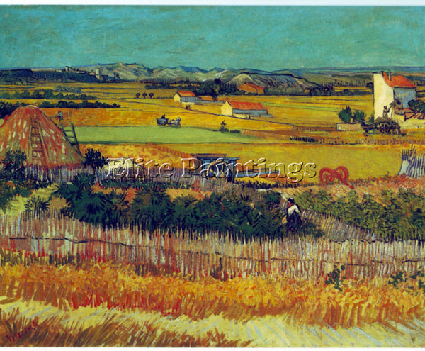 VAN GOGH THE HARVEST ARLES BY VANGOGH ARTIST PAINTING REPRODUCTION HANDMADE OIL