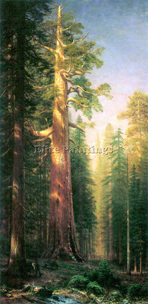 BIERSTADT THE BIG TREES MARIPOSA GROVE CALIFORNIA ARTIST PAINTING REPRODUCTION