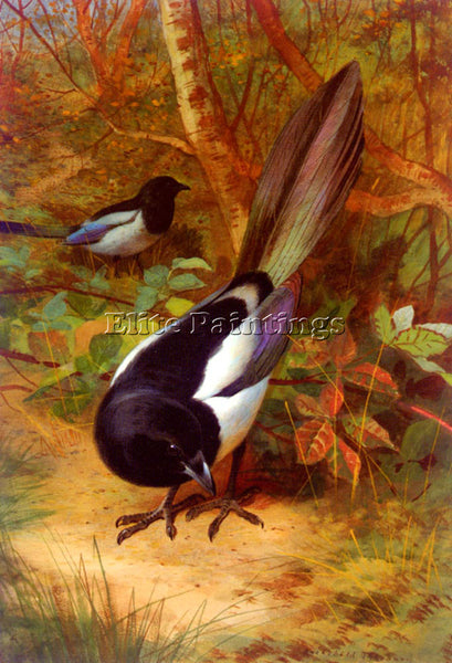 ARCHIBALD THORBURN MAGPIES ARTIST PAINTING REPRODUCTION HANDMADE OIL CANVAS DECO