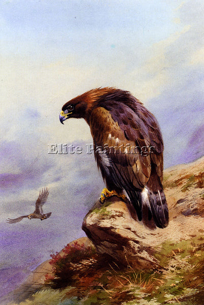 ARCHIBALD THORBURN A GOLDEN EAGLE ARTIST PAINTING REPRODUCTION HANDMADE OIL DECO