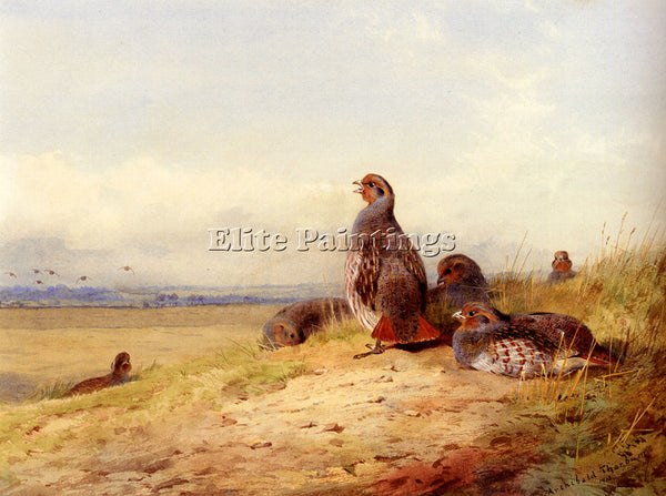 ARCHIBALD THORBURN RED PARTRIDGES ARTIST PAINTING REPRODUCTION HANDMADE OIL DECO