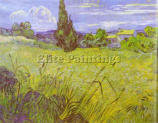 VINCENT VAN GOGH GREEN WHEAT FIELD WITH CYPRESS SAINT REMY ARTIST PAINTING REPRO