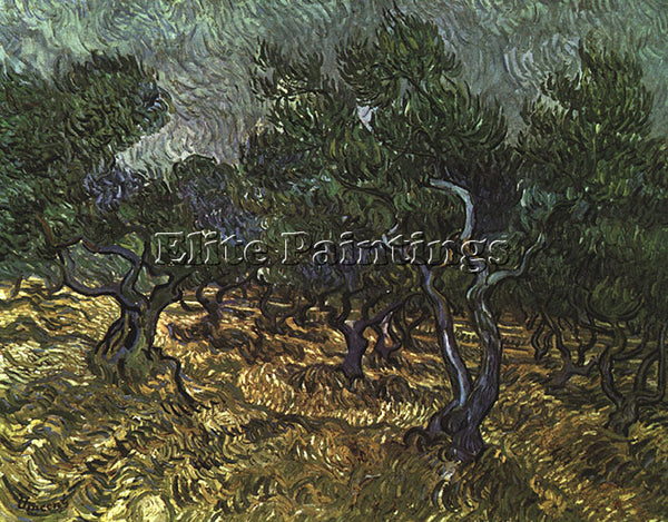 VINCENT VAN GOGH THE OLIVE GROVE 1889 ARTIST PAINTING REPRODUCTION HANDMADE OIL