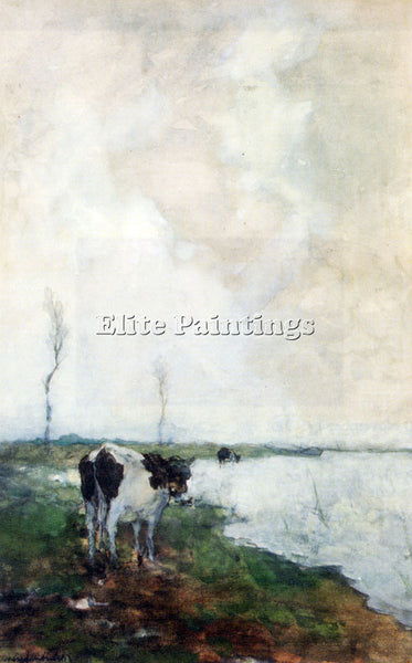 WEISSENBRUCH A COW STANDING BY THE WATERSIDE IN A POLDER ARTIST PAINTING CANVAS